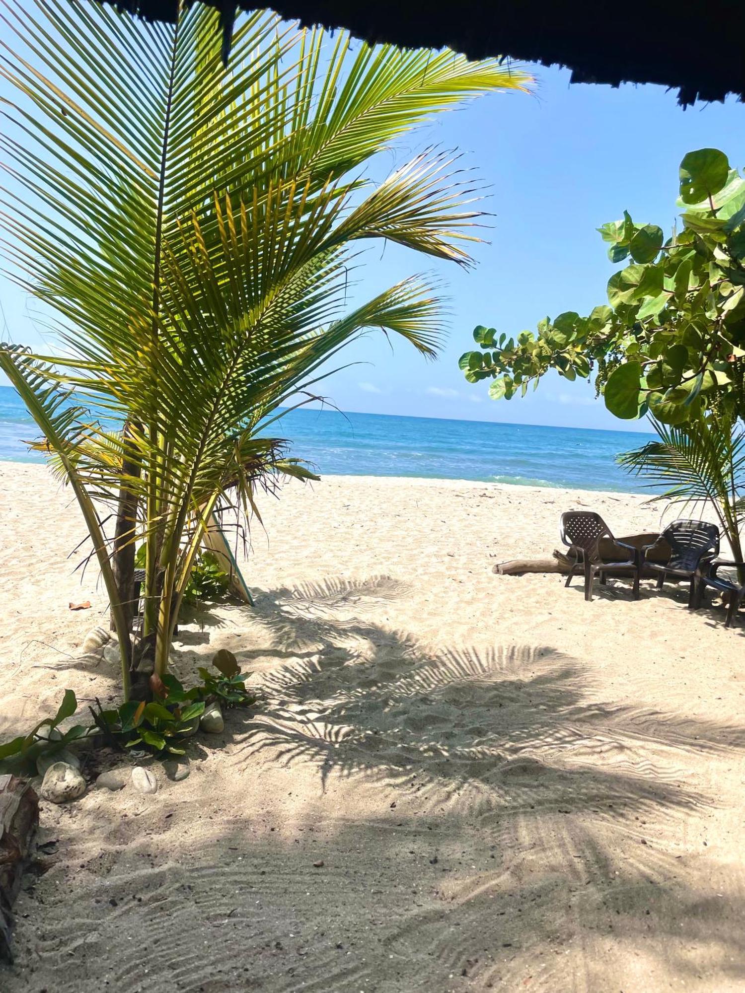 Hotel Chill And Surf Mendihuaca Guachaca Zewnętrze zdjęcie