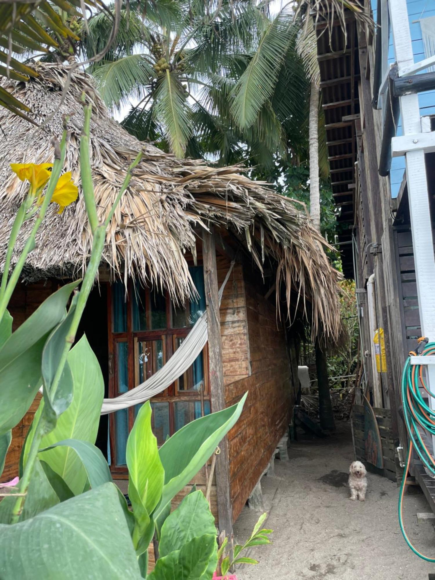 Hotel Chill And Surf Mendihuaca Guachaca Zewnętrze zdjęcie
